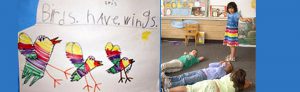 bird study in kindergarten