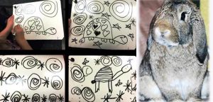 class pets inspires art, writing, and nonfiction studies