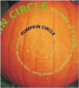 pumpkin circle