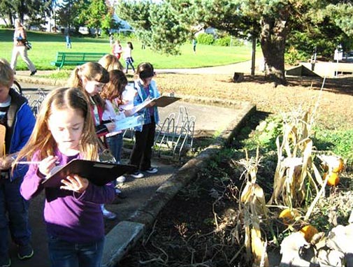 kindergarten science outdoor studies