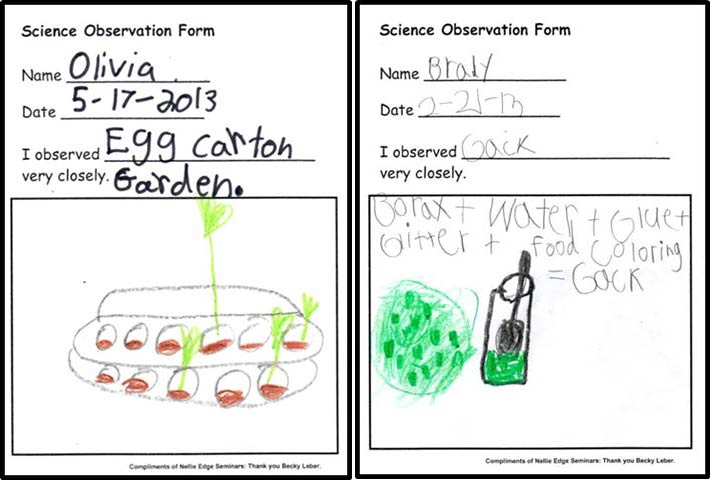 Weekly Science Notebook