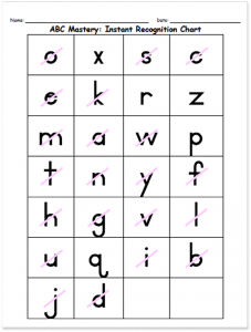 How the Components of the Nellie Edge ABC Phonics Program