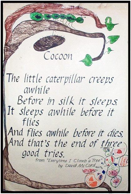 cocoon